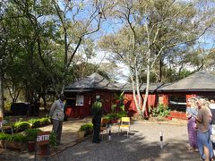 お勧めされたのが目の前でキリンにあえるジラフセンター