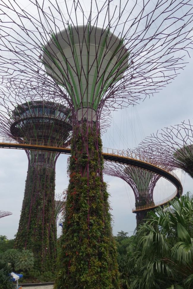 2 シンガポール Gardens By The Bay シンガポール シンガポール の旅行記 ブログ By Hhbさん フォートラベル