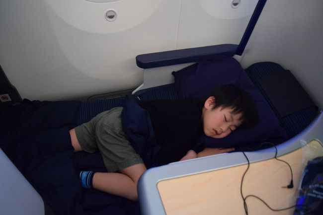 息子はシップに搭乗後、食事もとらずにすぐに就寝。<br /><br />スタッガードシートはやはり快適ですね！<br /><br />ホノルル空港に向けて降下するまでずっと爆睡でした。