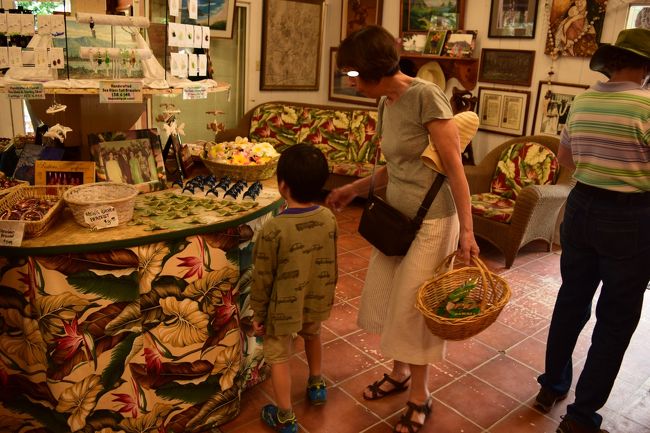 マカダミアナッツの木やお店の周りにあり、ナッツがなっているのが見れます。<br /><br />ナッツの殻割りも体験でき、休憩スペースもありドライブの一休みに丁度いい感じです。<br /><br />ここで作られるナッツの試食やマカダミアナッツフレーバーのコーヒーも試飲できます。<br /><br /><br />