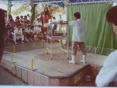 玉泉洞と玉泉ハブ公園（ハブとマングースの決闘）