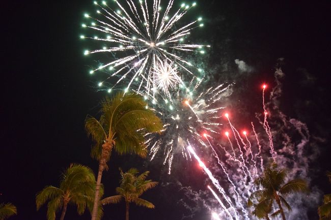 ちょうど椰子の木の真上にいくつもの大きな花火が上がりました！<br /><br />南国ムードたっぷりの花火になりました。<br /><br />今日は盛りだくさんの一日でしたが、とても充実した一日にもなりました。<br /><br />