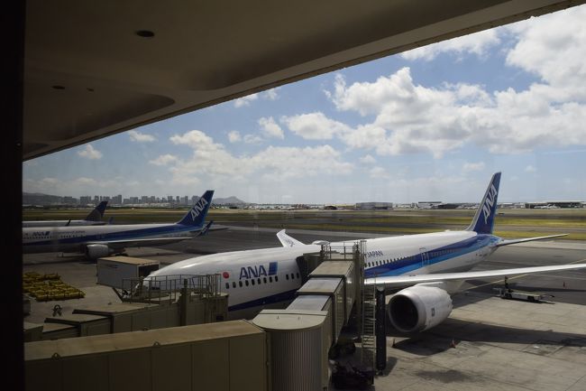 日曜日で、渋滞もなく約20分くらいでホノルル国際空港に到着しました。<br /><br />オープンエアなホノルル空港から飛行機越しに遠くに見えるダイヤモンドヘッドと<br /><br />ワイキキのホテル群、この風景大好きです。<br /><br />帰路は成田経由。成田まではNH181、シップはB767-300ERです。