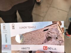 ルクソール神殿
60LE