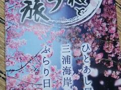 三浦海岸駅へ出ようと思ったのは行くときにこんなパンフレットを見たから。
でも河津桜の見頃は２月中旬。
残念ながらすっかり葉桜だったし、三浦海岸駅前のテント村も終わっていたし、ちょっと残念でした。