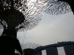 今のシンガポールの象徴的建物と巨大ツリーの1枚