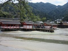 厳島神社まで戻って来ました
潮が大分引いてきていました
既に平舞台は水上ではなく砂上の上

個人的にはやっぱり水上の上の方が好きです