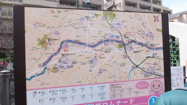 横浜の桜の名所 大岡川 ４月２日に行きましたが 満開にはまだ早かった 東神奈川 保土ヶ谷 弘明寺 神奈川県 の旅行記 ブログ By Entetsuさん フォートラベル