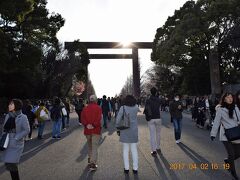 逆光の大鳥居。