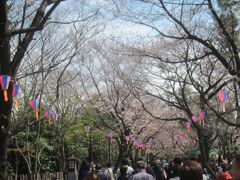 そこそこ桜は咲いていますが…
満開とまでは行かないのに､靖国神社の標本木は頑張ったのか､気象庁が盛ったのか…本日東京のソメイヨシノ満開宣言！

飛鳥山公園は江戸時代､8代将軍吉宗が江戸市民のために造ったお花見場所｡
以来､数百年に亘ってお花見で大変賑わってきました｡
現在650本もの桜が植えられているそうです｡

前回飛鳥山公園に来たのは約2年前の5月末でした
http://4travel.jp/travelogue/11016696

