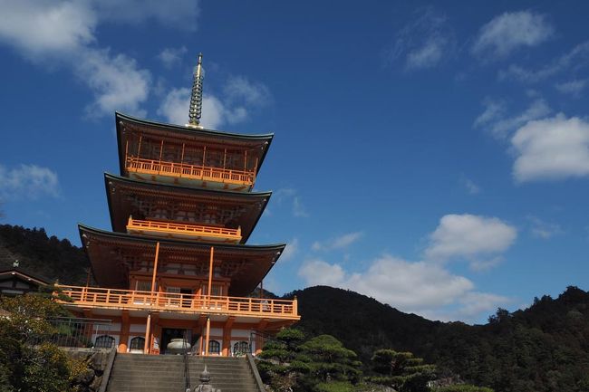 タクシーに乗り込み、ちょっと下って三重塔へ。有料道路は三重塔入館込みなの初めて知った！<br />中にエレベーターあるしね、せっかくだしね。<br />3階の金網開いたところから那智の滝を撮ったり（金網に穴w昔来た時にもツッコミ入れたけど穴ww）
