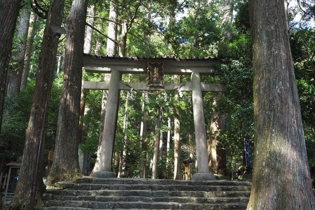 それからいよいよ那智の滝へ。<br />タクシーのおっちゃんは準備がよくて、トランクの中から杖を出してきたぞ！母は杖を借りて下りることに。ここばっかりは自力で下って上ってもらわないといけないんでね。母ファイトー！<br /><br />今日は参拝客少ないなーって思ったけど、よく考えたらまだ10時くらいだった！そりゃ少ないわ！