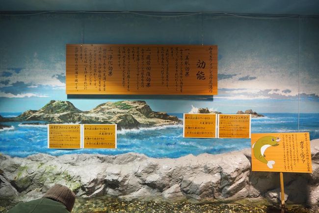 ＞＞＞みそぎフィッシュ＜＜＜<br /><br />手ぐらいやってみればよかったかな。思いのほか盛りだくさんだったから時間なくなっちゃってねぇ。<br /><br />シーパラダイスを出てお土産コーナーを冷やかしたりしてたらバスの時間になったので外へ出たんだけど、バス停が見つけられず焦った。あれだろうと思ってたバス停の看板はCANバスのじゃなかった！<br />土産ゾーンに戻っておばちゃんに聞いてダッシュしたら間に合ったけど、完全に死角になってたよーーー。バス停の看板、もうちょっと手前に出しててほしい。あとバス停遠い。