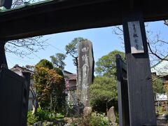 一番最初は、日蓮宗のお寺さんで「収玄寺」
さんです。
鎌倉幕府御家人の、四条金吾の館跡にある
お寺さんです。
境内は、お花が多い事で知られています。
境内の花々を掲載します。
