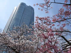 六本木ヒルズと桜。

今週は、都内も桜が満開となります。楽しみですね♪
