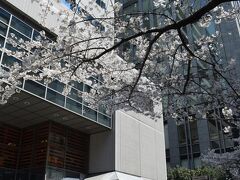 4月4日お昼の様子
さくら通り
富士の国やまなし館前