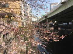 3月30日のお昼の様子
日本橋の三越側にある
日本橋魚河岸記念碑前