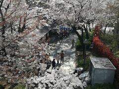 南北線にて王子駅へ。
ランチをこちらで食べます。ランチ後、音無親水公園経由で飛鳥山へ。