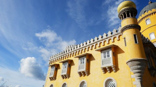 黄色が青に映えます。