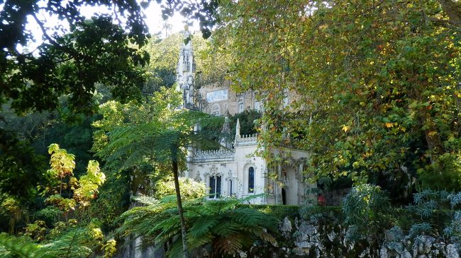 なんとも樹々がうっそうとしています。