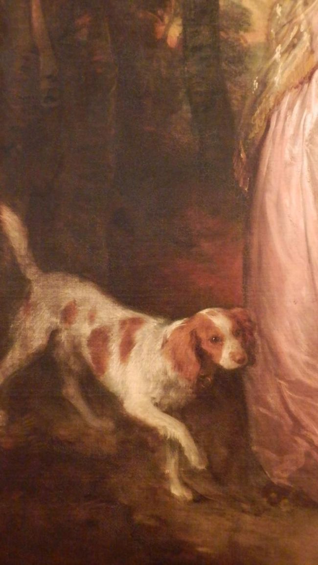 うちで飼っている犬が。<br />とてもかわいく描かれています。<br /><br />明日はリスボン市内を観光します。<br />レトロエレベーターに並ばずに乗るヒントをご紹介。