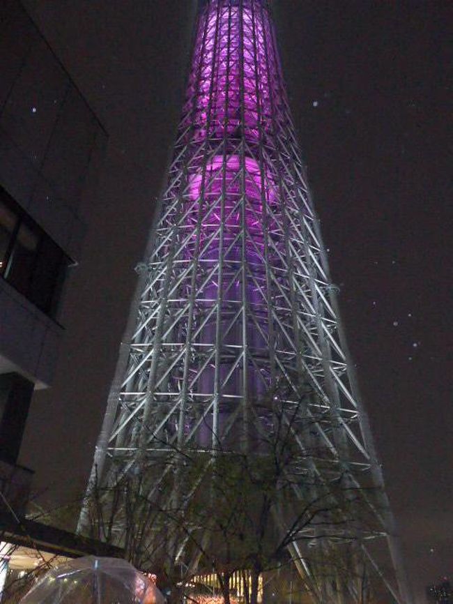 上京して来た息子と東京観光をしました その１ 夜の東京スカイツリー展望回廊 O 浅草 東京 の旅行記 ブログ By Sakuraさん フォートラベル