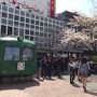 桜満開！！渋谷から銀座線各駅停車の花見ツアー、上野広小路で力尽き？隅田川たどりつけず・・