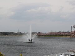 権現堂大噴水　通称スカイウォーター