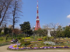続いて、芝公園から東京タワーを眺めます。
