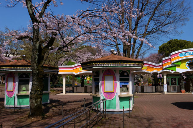 私は並ぶほどの気持ちも無いので<br /><br />　辺りをぶらぶらと。