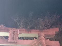 そして、翌日。
徳佐八幡宮に、夜桜を見にやってきました★