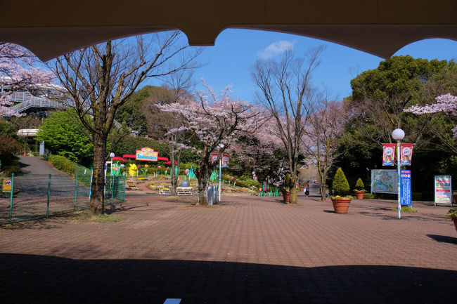 まだ　　誰も居ません。