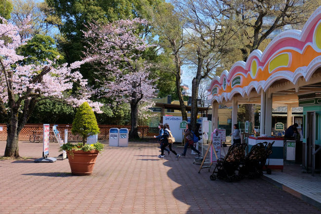 １０時　急げ。。とばかりに。。入場。。