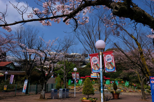 入園料<br /><br />　大人１０００円<br /><br />　子供　３歳から小学生　５００円です。