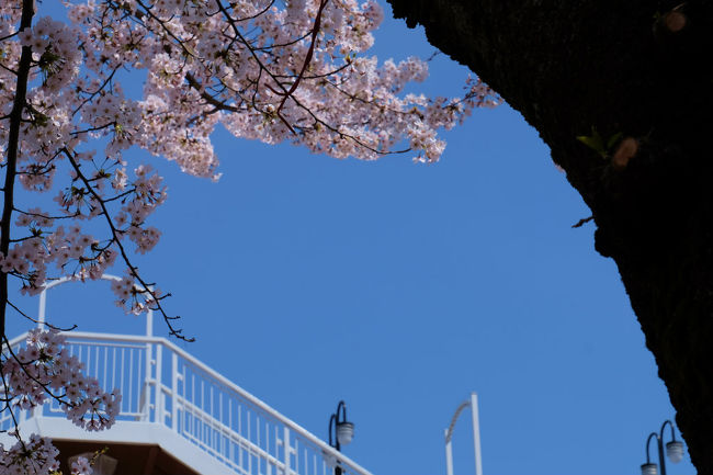 雲一つない　青い空
