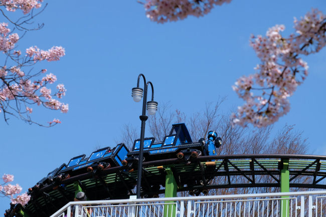 またも轟音。。