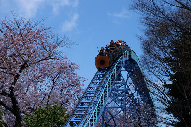 他を写してる時に　気になっていた　轟音が<br /><br />　さくらの花と一緒に写そうと待っていました<br /><br />　　きました。。<br /><br />　　　急げ　写せ。。ピントは大丈夫か。