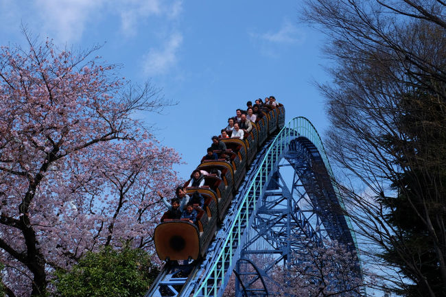 キャー、、ゴウー　一瞬　過ぎ去りました。<br /><br />　落ち着いて　写した様子をカメラで見れば<br /><br />　　何とか写ってる<br /><br />　　　　良かった。。。