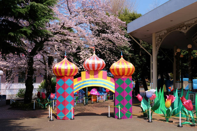 次は好きなメリーゴーランでへ