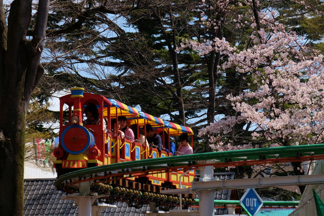 お隣では　桜の花の下を<br /><br />　のんびり走る<br /><br />　　スカイトレイン