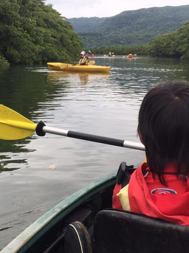 今回の目的のひとつの<br />ジャングルトレッキングと カヌーです！<br />結構前から ツアーを探していたんですが 小1の子供も一緒にできて マングローブカヌーと トレッキングのツアーってのが また無い！あっても お値段が高かったり。本当は 1日ツアーで 色んな滝を見に行きたかったのですが 値段の都合で半日ツアーに。そして 直前で出た 西表島ツアーズの 半額セール！！！<br />https://iriomote-tour.com/<br />  半額は嬉しいし！助かる！<br />で カヌーとピナイサーラの滝へのジャングルトレッキングです！<br /> 子供達にジャングル体験をさせたくて 初めて<br />のカヌーと 初めて見るマングローブ！