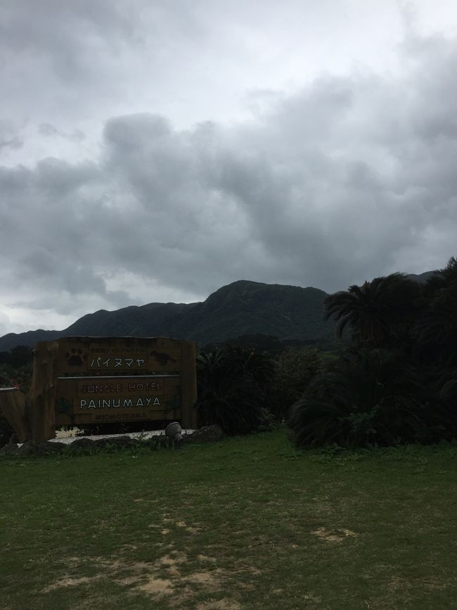 西表島宿泊のジャングルホテル パイヌマヤ です！<br />ホテルの雰囲気はジャングル感で良い感じ！<br />綺麗な施設だし、スタッフも親切です。<br />アメニティは なるべく ゴミを出さないように 歯ブラシは置いてませんが 申し出たらくれそうです。お風呂はやっぱりユニット。<br /> ベランダからの川の眺めが良いです。<br /> クチコミ通り ジャングルっぽいホテルで 周りは 何もない！ホテル内には一応 人の居ない 小さな売店（お土産ちょっと）もありますが。<br />元々 西表島は 本当に店もない。<br /> 歩いて 10分くらいのところに 砂浜があります。ホテル内でも ジャングル遊歩道みたいなのがありましたが 夕方だし ジャングルで暗いしで 見るだけ。あとは 静かなジャングルの中で 鳥や虫の鳴き声が 気持ち良い。