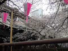 16：15　中目黒駅到着。
池尻大橋からここまでわずか約1.9キロ。
恵比寿まで歩くことにした。
