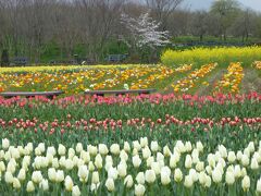 「桜珈琲」から５分で「和泉リサイクル環境公園」到着