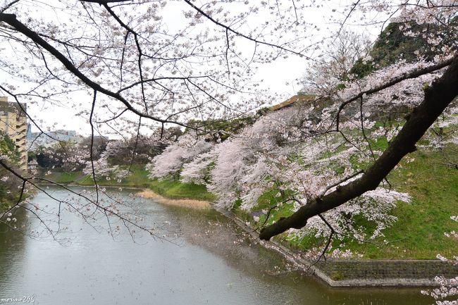 ようやく満開となった東京の桜 でも 天気が 千鳥ヶ淵と隅田公園のお花見 神田 神保町 東京 の旅行記 ブログ By Morino296さん フォートラベル