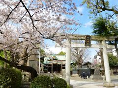 牛嶋神社の桜

青空が広がりいい感じになってきました。
