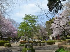 三ッ池公園(4月7日）

横浜の開花宣言は3月25日満開は4月6日。東京は開花は3月21日満開は4月2日。
さくらの名所三ッ池公園は今が満開のピーク。

上の池から入って行く。