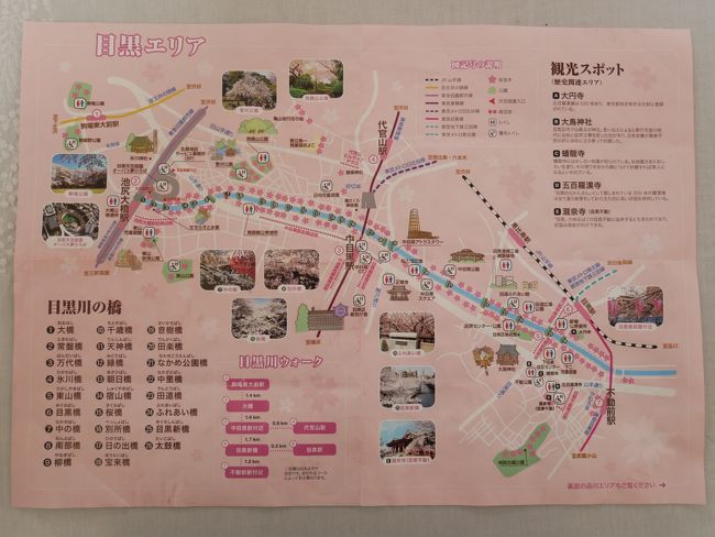 東京中目黒 満開の 目黒川の桜 福山雅治の 桜坂 を訪れて 中目黒 祐天寺 東京 の旅行記 ブログ By Sakatomoさん フォートラベル