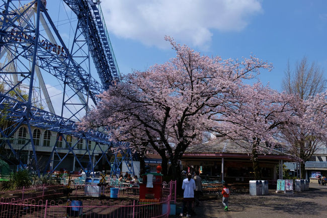 風に揺れて　花びらが散る