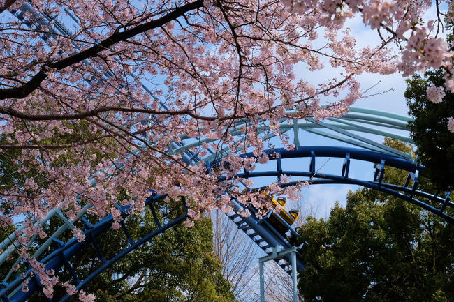 又も聞こえてくる　轟音、<br /><br />　今度こそ　写す　心構え